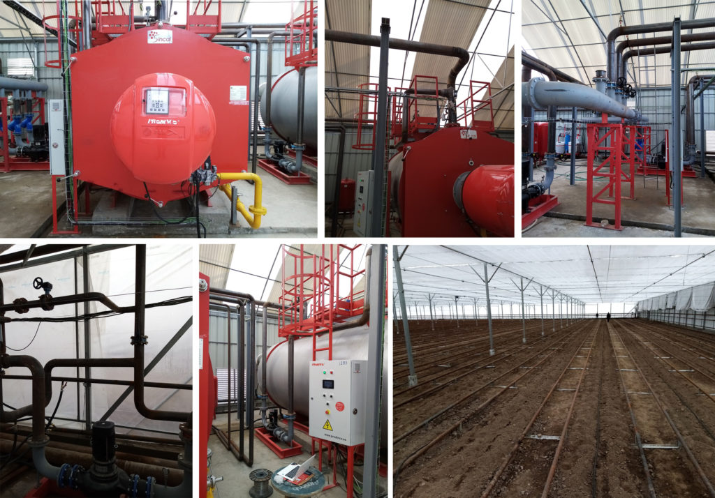 Commissioning of heat installation in a greenhouse in Uzbekistan | Combustion Solutions