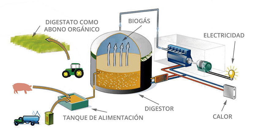 Produccion de biogas - Renovables Verdes - Soluciones Integrales de Combustion