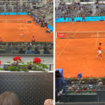 Djokovic, disfrutando del mejor tenis - Soluciones Integrales de Combustion