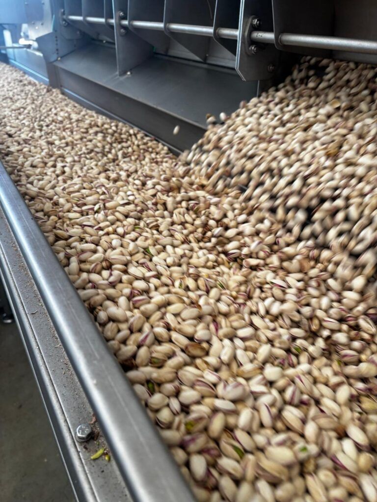 Instalación de secado de pistachos - Soluciones Integrales de Combustión Instalación de secado de pistachos - Soluciones Integrales de Combustión